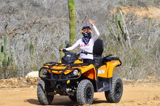 Desert and Beach ATV Tour in Los Cabos - Key Points