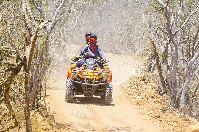 Desert and Beach ATV Tour in Los Cabos - The Value of This Tour