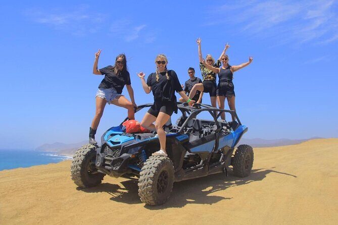 Desert and Beach Buggies Tour - A Close Look at the Desert and Beach Buggies Tour in Cabo San Lucas