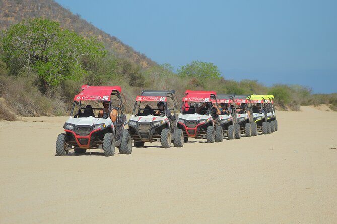 Desert and Beach UTV Adventure with Tequila Tasting - Key Points