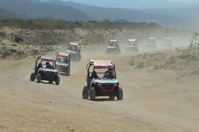 Desert and Beach UTV Adventure with Tequila Tasting - Who Should Consider This Tour?