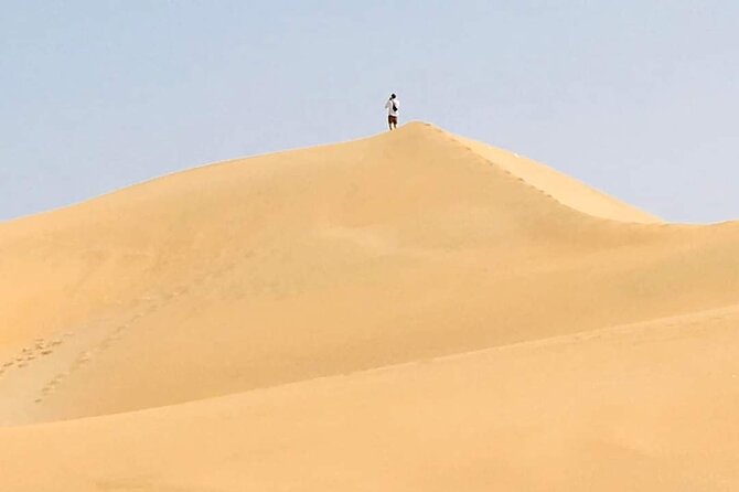 Desert and Wild Beach Day Trip With Meal - Accessibility Features