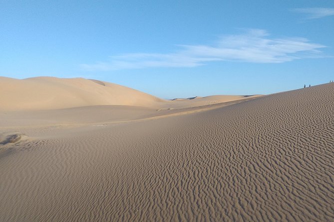 Desert and Wild Beach Day Trip With Meal - Travel Tips