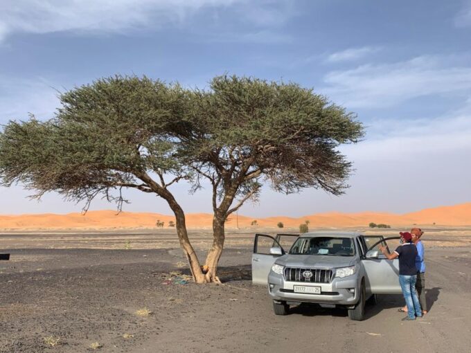 Desert & Atlas: 4-Day Private Moroccan Journey - Accommodations and Dining