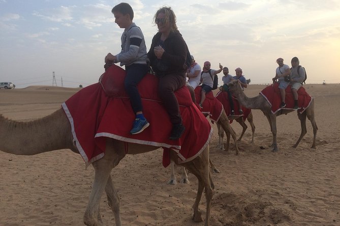 Desert Camel Ride With Live Shows & BBQ Buffet Dinner - Important Considerations