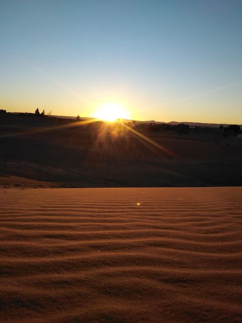 Desert Odyssey: 5-Day Tour From Casablancas Gateway - Returning to Casablanca