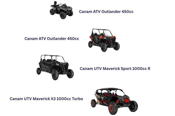 Desert Off Road Adventure Tour in La Paz - The Off-Road Experience