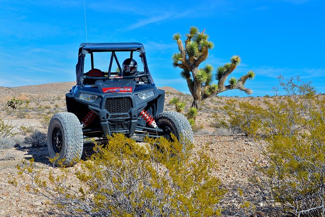 Desert RZR Adventure With Lunch at the Historic Pioneer Saloon - Participant Requirements and Safety