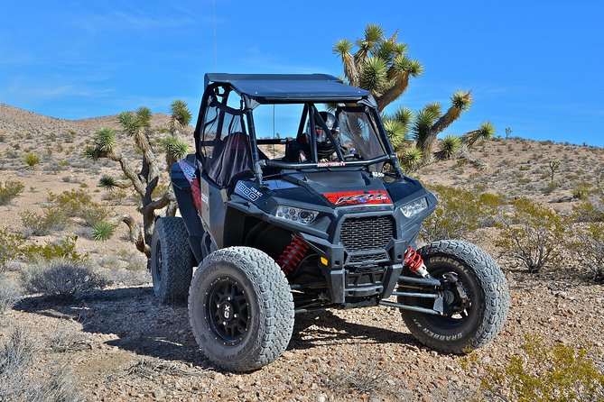 Desert RZR Adventure With Lunch at the Historic Pioneer Saloon - Meeting and Pickup Details