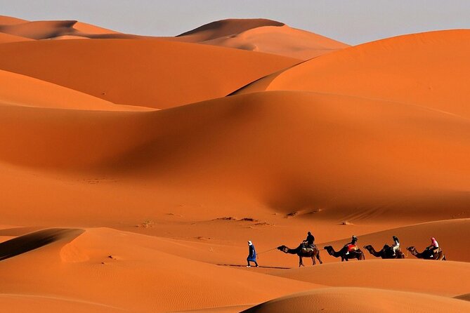 Desert Safari Dubai BBQ Dinner & Live Shows - Flexible Pickup and Timing