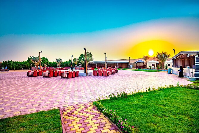 Desert Safari Dubai BBQ Dinner & Live Shows - Overview of the Tour