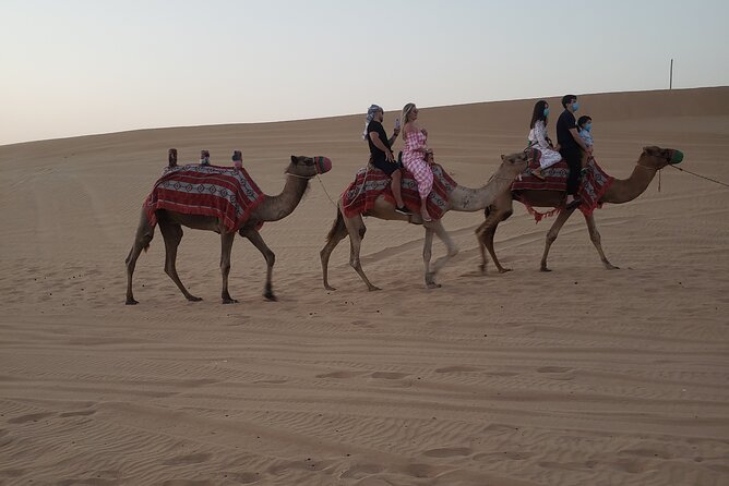 Desert Safari Dubai With Buffet Dinner & 3 Live Shows - Tour Inclusions