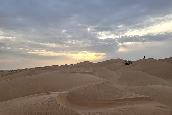 Desert Safari in Empty Quarter With Dune Bashing - Health and Safety Considerations
