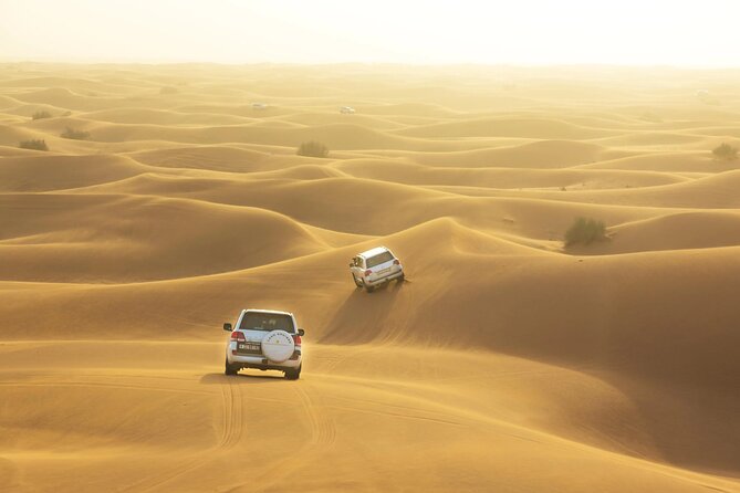 Desert Safari, Quad Biking, Sand Surfing and BBQ Dinner In Dubai - Additional Tour Information