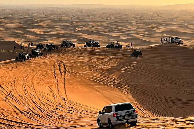 Desert Safari With Dune Bashing, Camel Ride, BBQ Dinner, Sand Board & Live Shows - Key Points