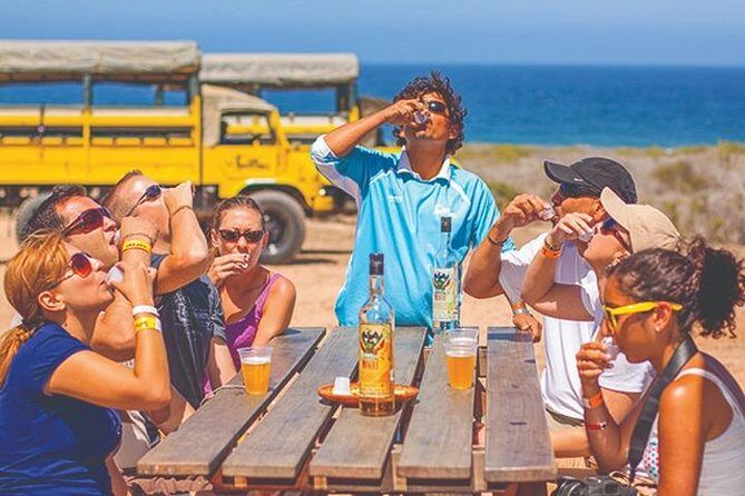 Desert & sea, Camel Safari tour in Los Cabos with lunch - An In-Depth Look at the Tour Experience