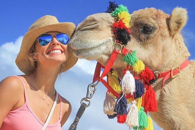Desert & sea, Camel Safari tour in Los Cabos with lunch - Frequently Asked Questions