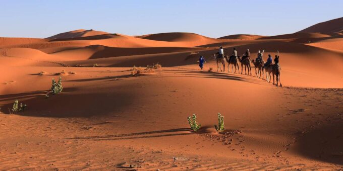 Desert Tour From Marrakech to Merzouga - Returning to Marrakech Through Draa Valley