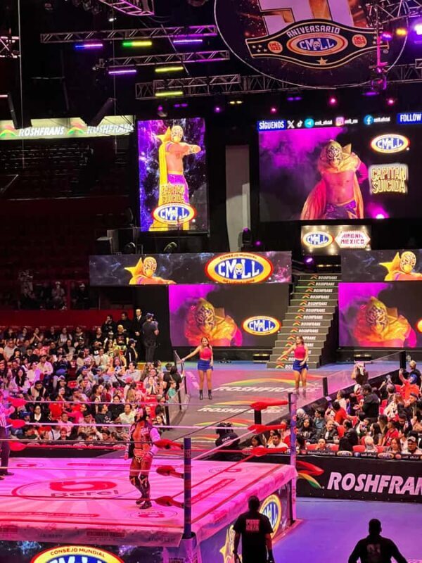 Design your Lucha Libre Masks and Lets to the Live Show!! - The Sum Up