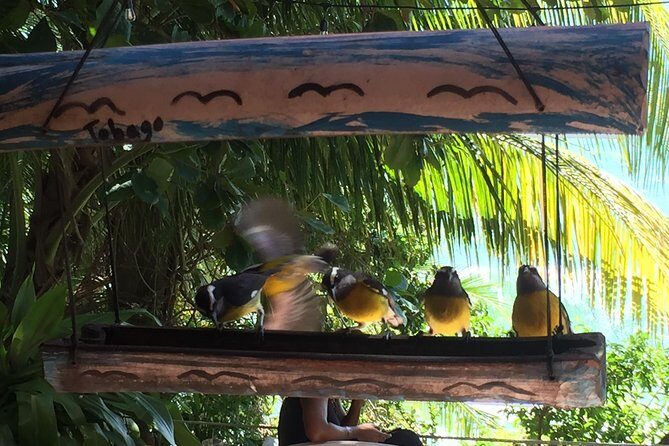 Design your own individual excursion - The Sum Up