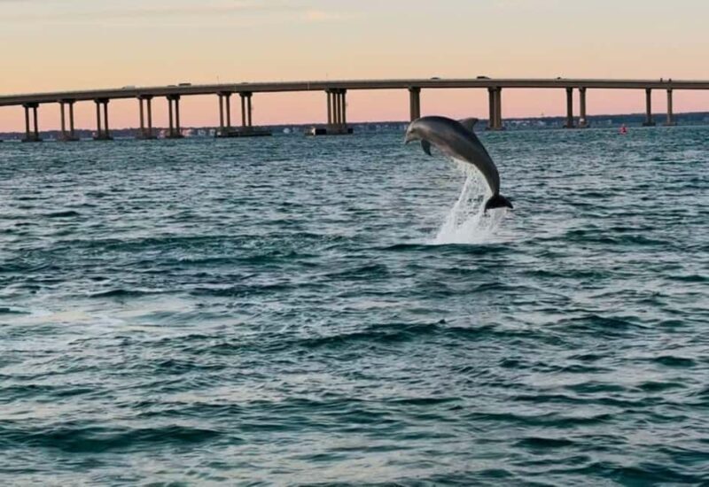 Destin: 90-Minute Boat Ride With Cruise Destin Bay - Key Points