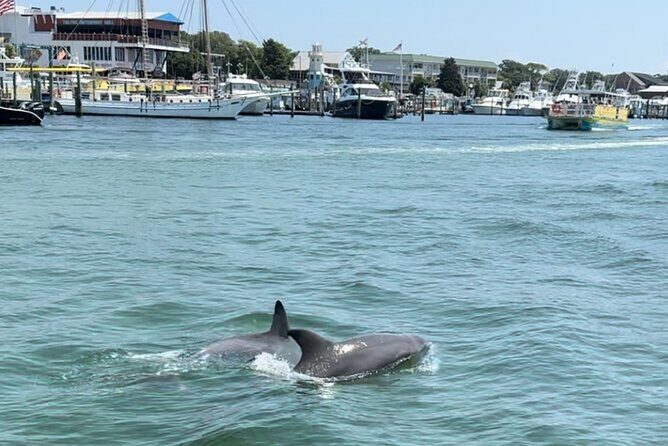 Destin Boat Ride with Cruise Destin Bay - Final Thoughts
