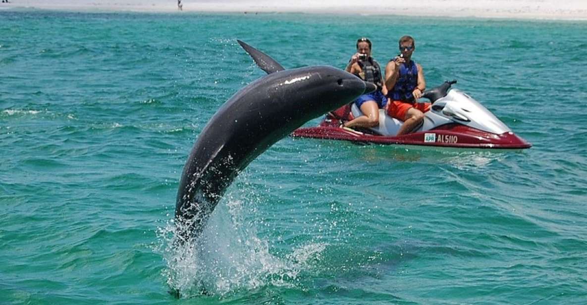 Destin: Crab Island Dolphin Watching Jet Ski Tour - Jet Ski Specifications