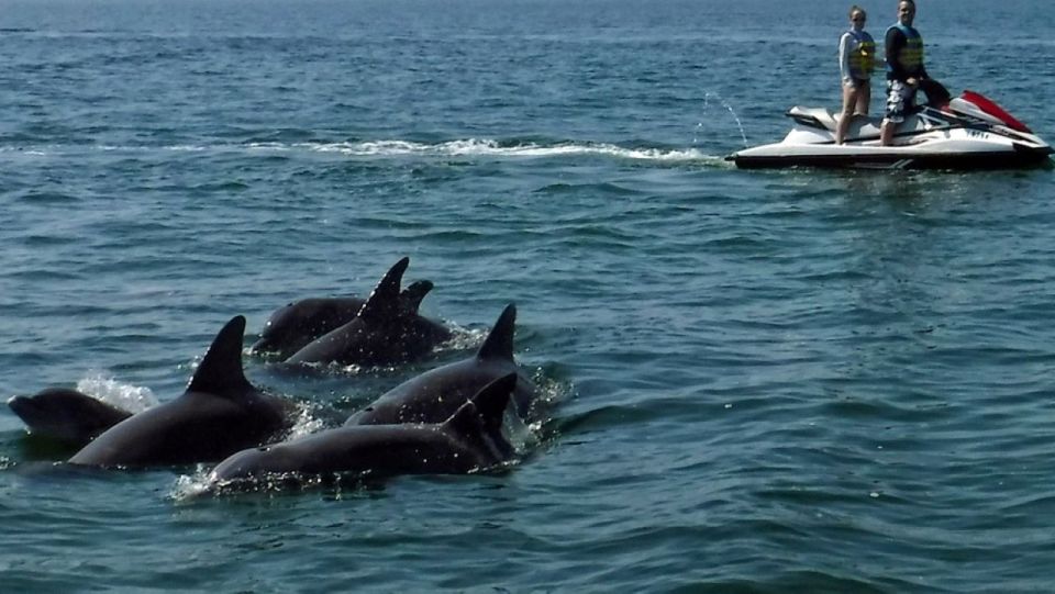 Destin: Crab Island Dolphin Watching Jet Ski Tour - Meeting Point and Check-in
