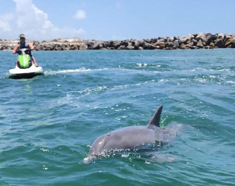 Destin: Crab Island Dolphin Watching Jet Ski Tour - Whats Included in the Tour