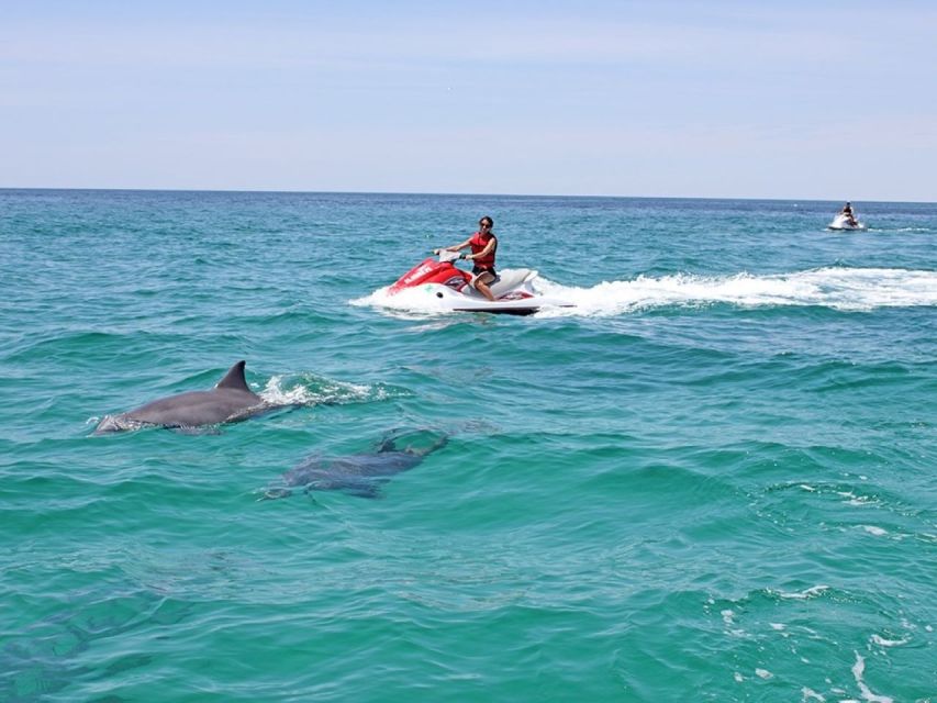 Destin: Crab Island Dolphin Watching Jet Ski Tour - Safety and Security Measures