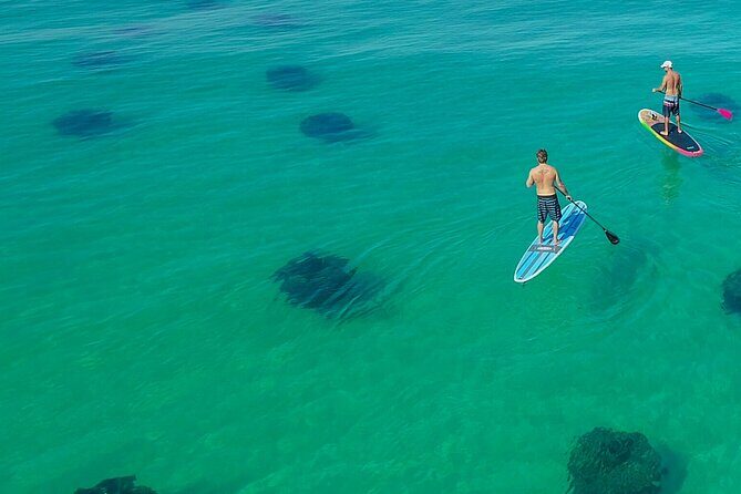 Destin Dolphin and Snorkeling Adventure Speedboat Tour - The Experience: What to Expect on the Water