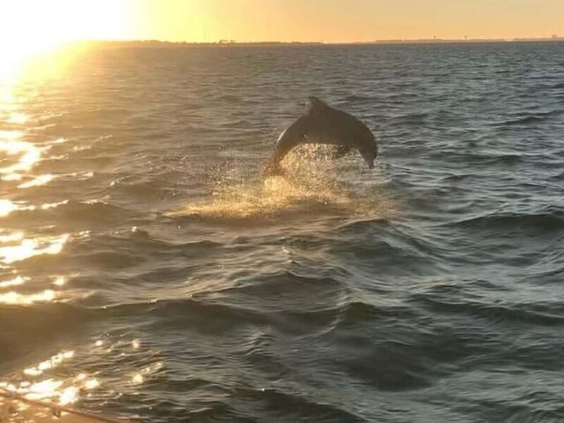 Destin: Floating Tiki Bar Cruise with 360° Harbor Views - Final Thoughts: Who Will Love This Experience?