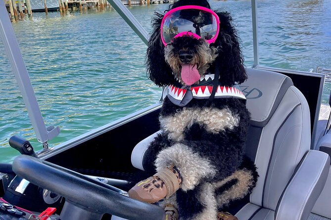 Destin- Private Chartered Slide Pontoon Boat-Up to 6 Guests - Inclusions and Restrictions