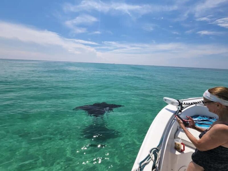 Destin: Private Morning Dolphin Cruise - Who Will Love This Tour?