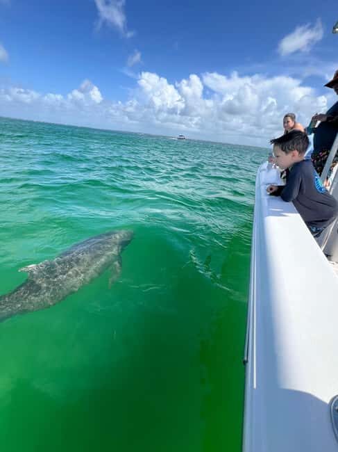 Destin: Private Morning Dolphin Cruise - Why Choose This Tour? The Value Perspective