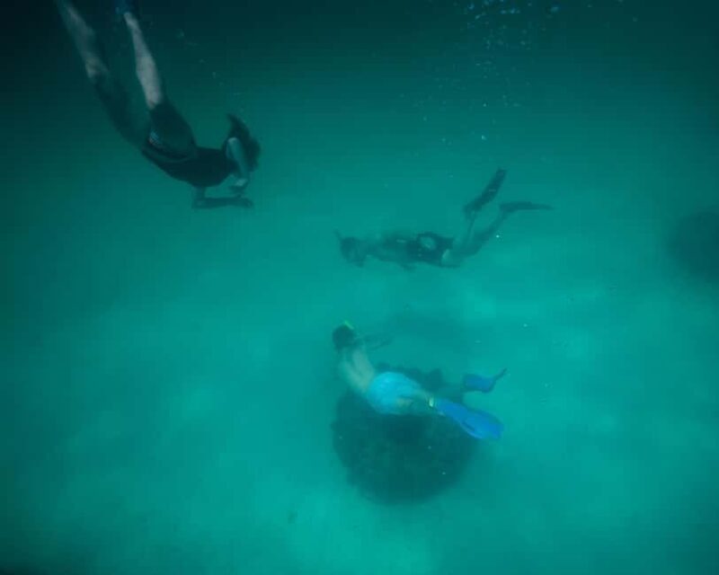 Destin: Reef Snorkeling Adventure - Frequently Asked Questions