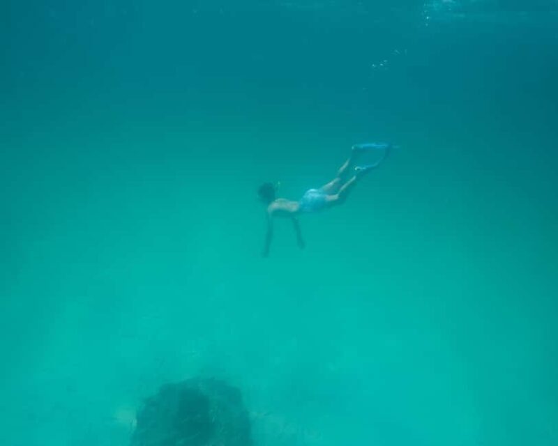 Destin: Reef Snorkeling Adventure - Wrapping Up: Who Should Consider This Tour?