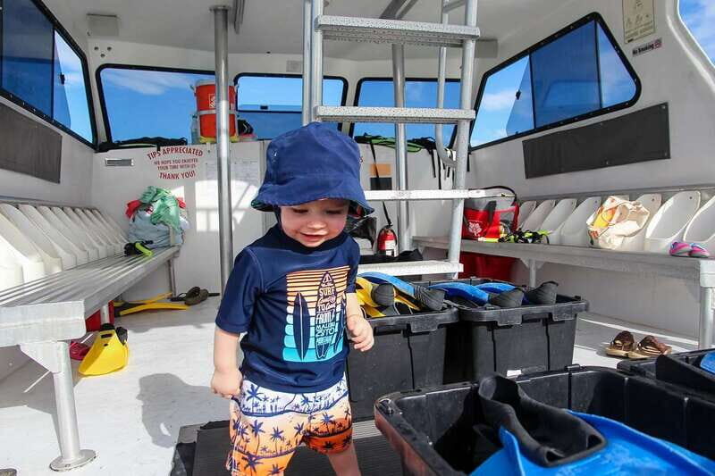 Destin: Snorkeling Cruise with 2 Stops and Dolphin Watching - A Close Look at the Experience