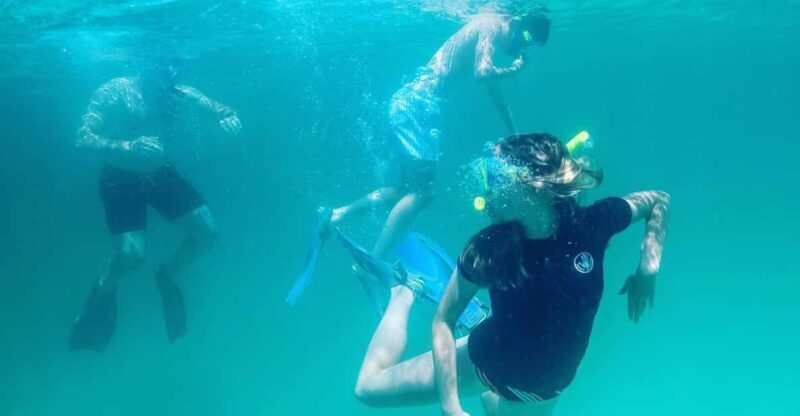 Destin: Snorkeling, Dolphins, and Crab Island - An Overview of the Experience