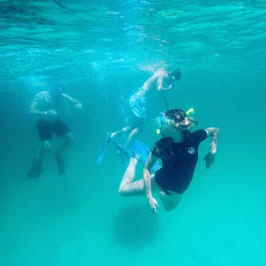 Destin: Snorkeling, Dolphins, and Crab Island - How the Tour Delivers Value