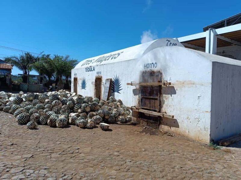 Destino Tequila: Experiencia Premier Privada - Exploring the Itinerary — What You Can Expect