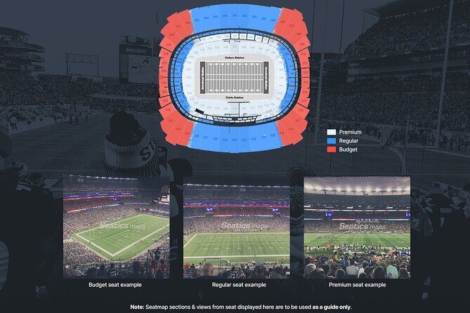 Detroit Lions Football Game Ticket at Ford Field - The Sum Up