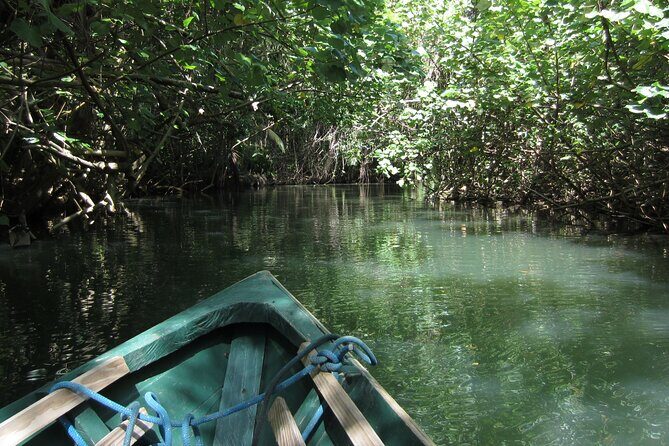 DG Tours - Full-Day Private Tour Experience - Key Points