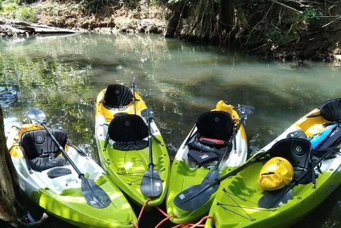 DG Tours - Full-Day Private Tour Experience - The Downside: What to Consider