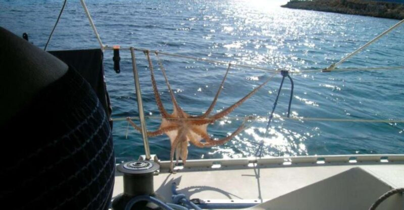 Dia Island: Private Full Day Sailing Cruise - Key Points