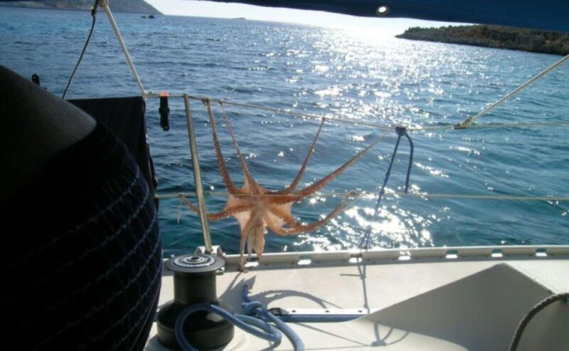 Dia Island: Private Full Day Sailing Cruise - Itinerary and Experience