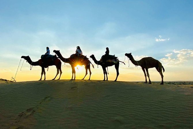 Diamond Camel Safari Private Tour(Overnight Camel Safari Non-Touristic Area) - Culinary Experiences