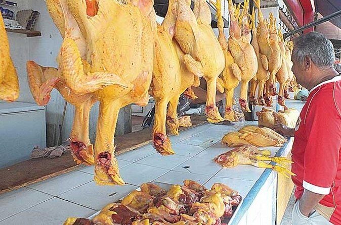 Different Faces Of Acapulco Tour - Final Thoughts: Is This Tour for You?