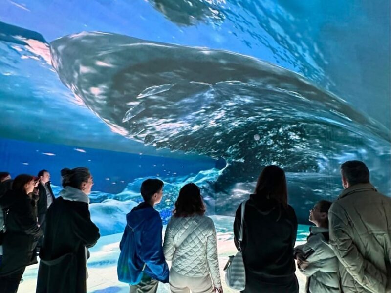 Digital Experience Museum Skip-the-Line Entry - FAQ