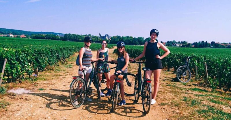 Dijon: Half-Day Guided Gourmet Bike Tour - Itinerary and Highlights